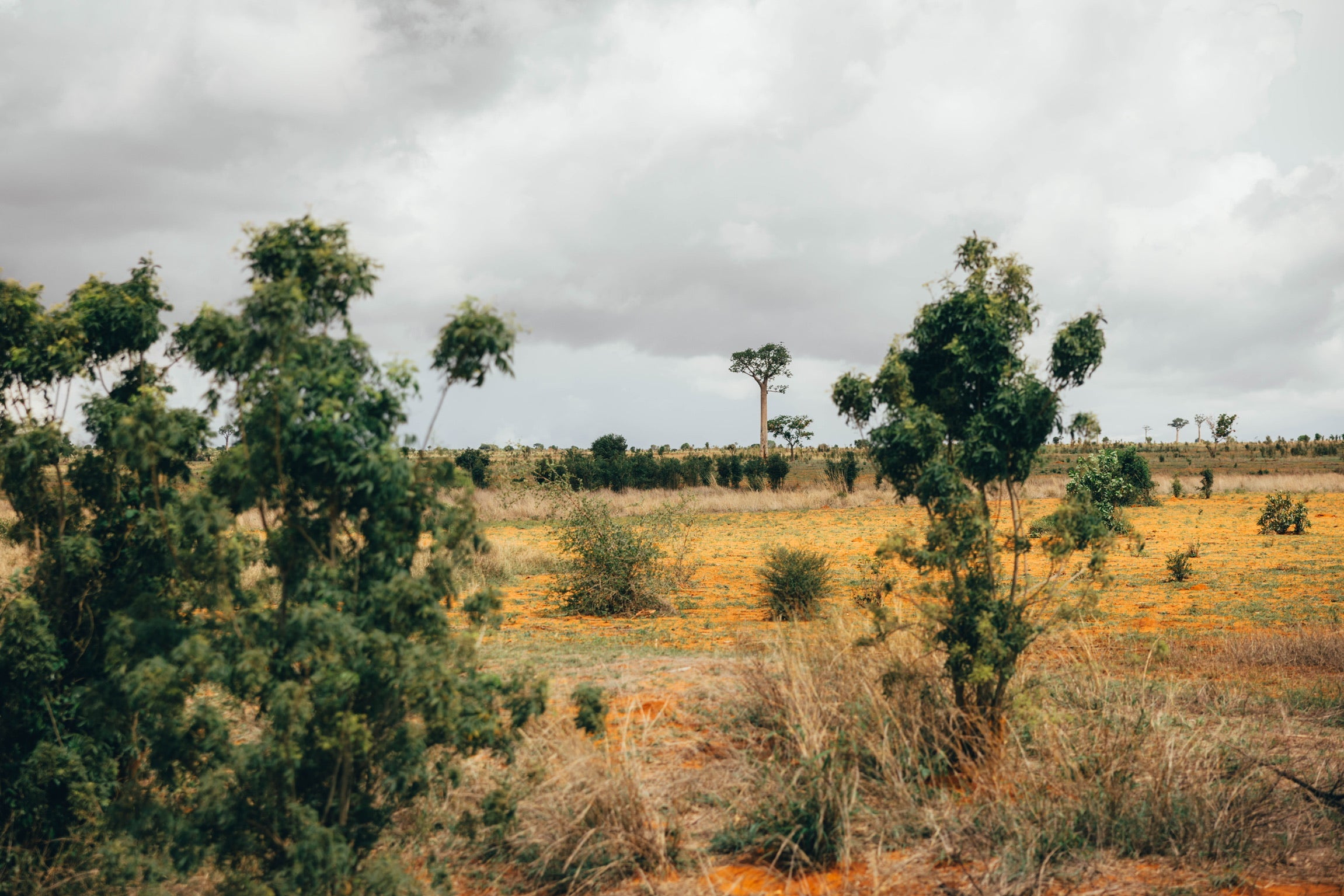 The Myth of Provenance: Why Gem Quality Matters More Than Origin