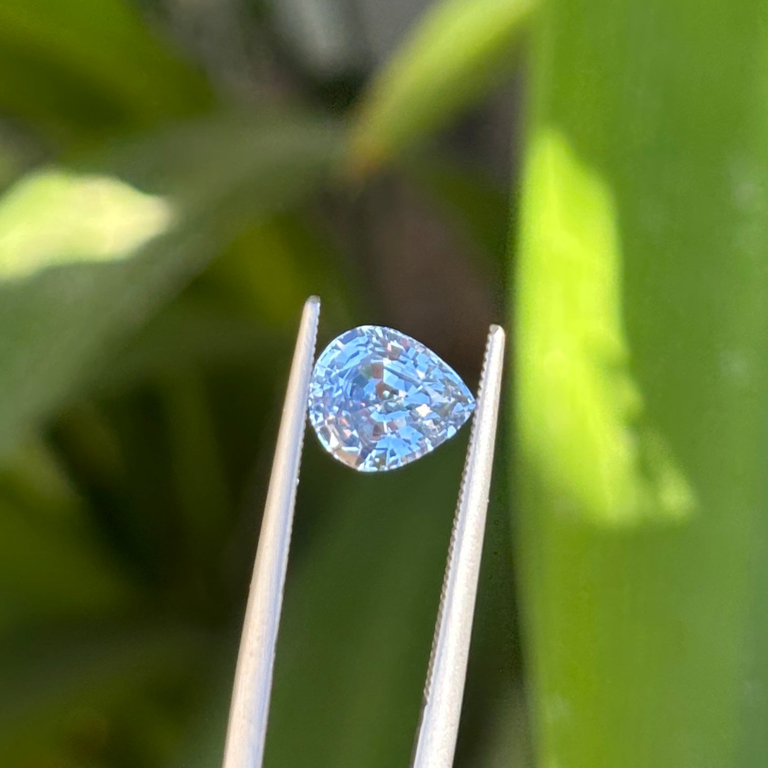 #1-36 Pear Sapphire 2.56ct