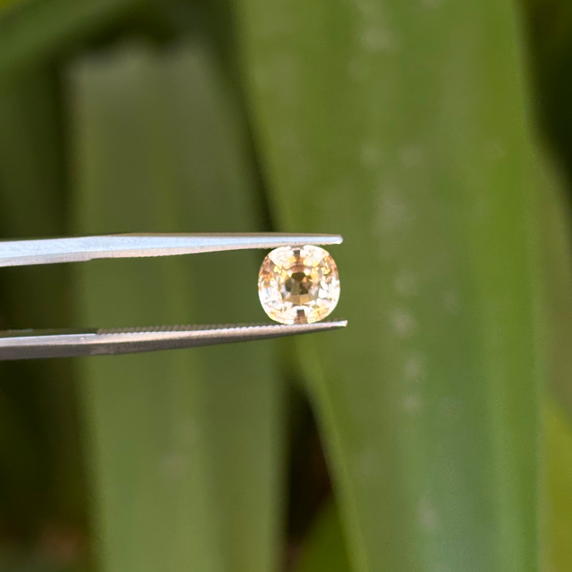 #1-57 Cushion Sapphire 1.21 ct