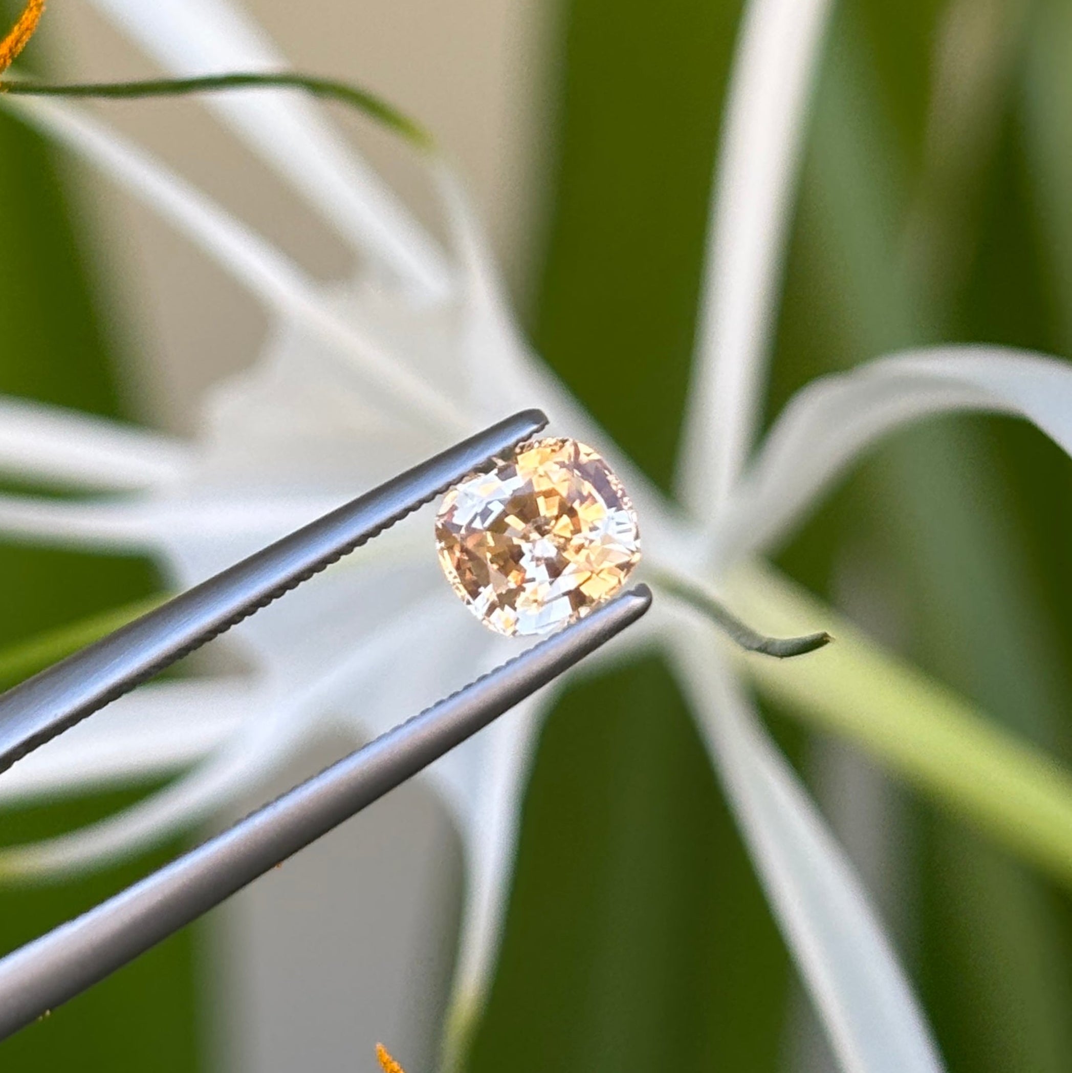 #1-58 Cushion Sapphire 0.97ct