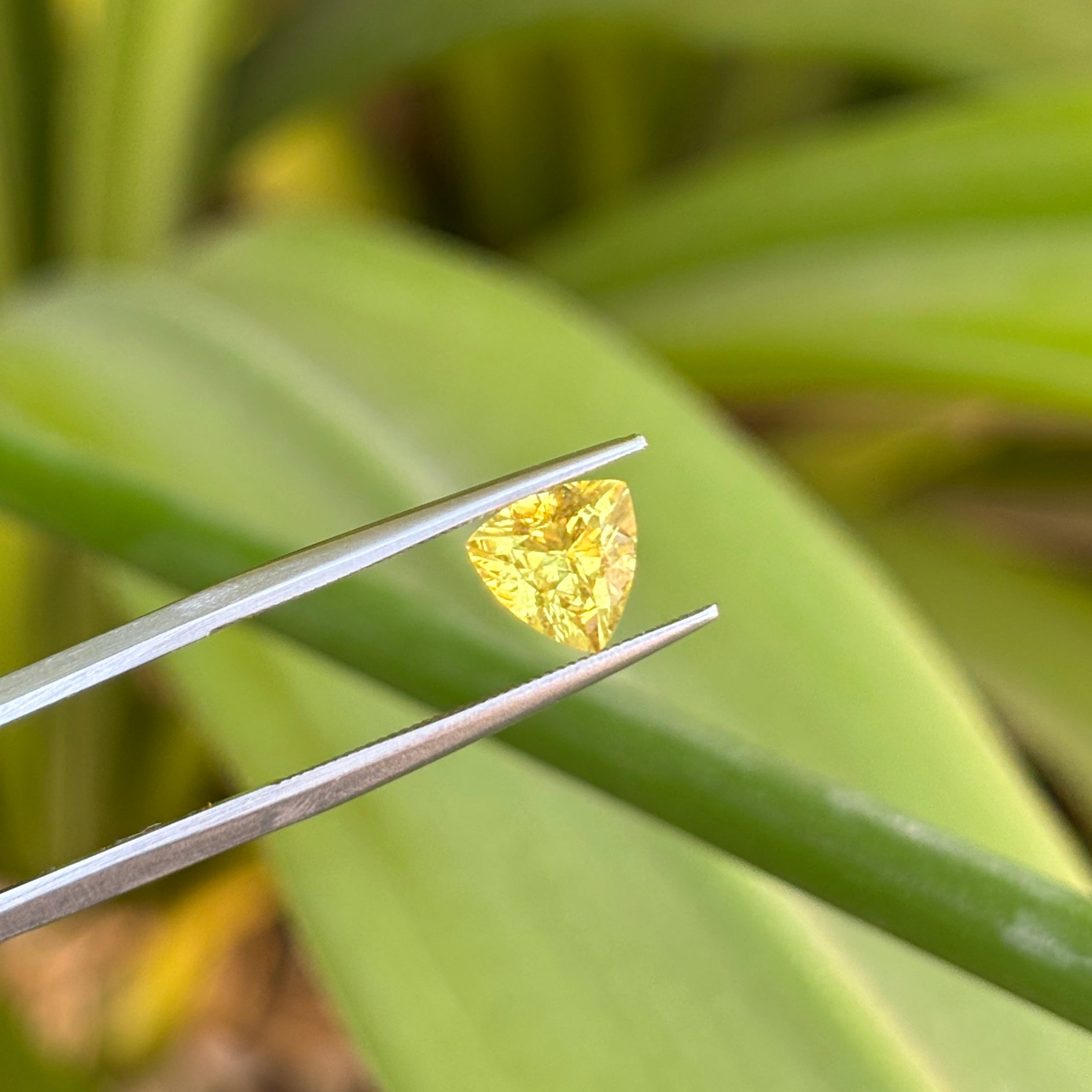 #1-66 Trilliant Sapphire 1.25ct