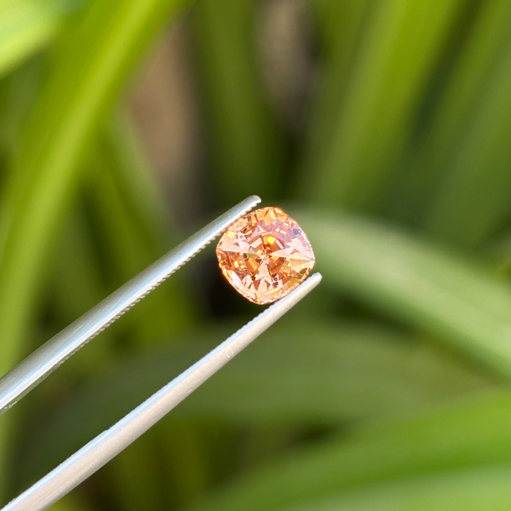 #1-59 Cushion Sapphire 1.80ct