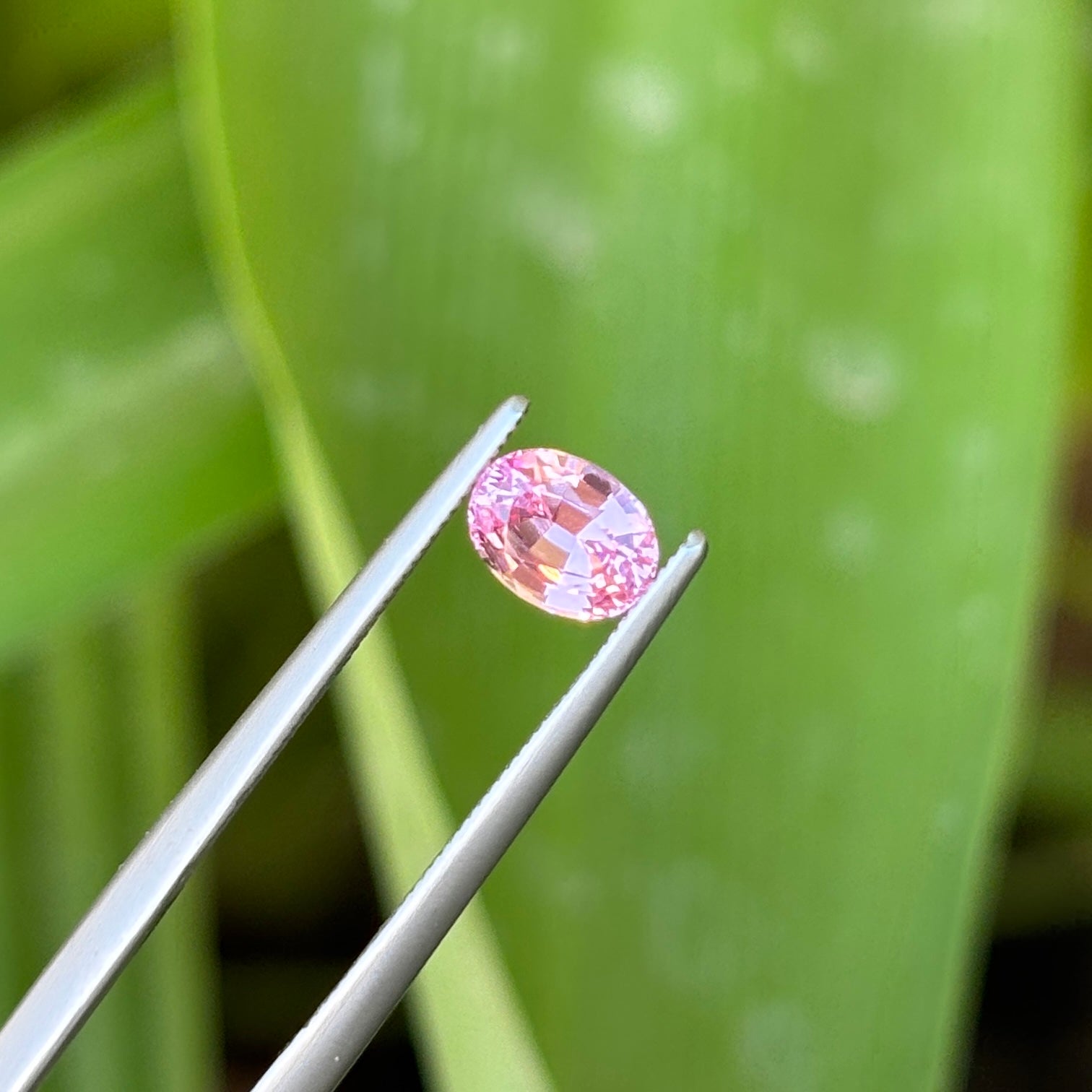 #1-63 Oval Sapphire 0.82ct