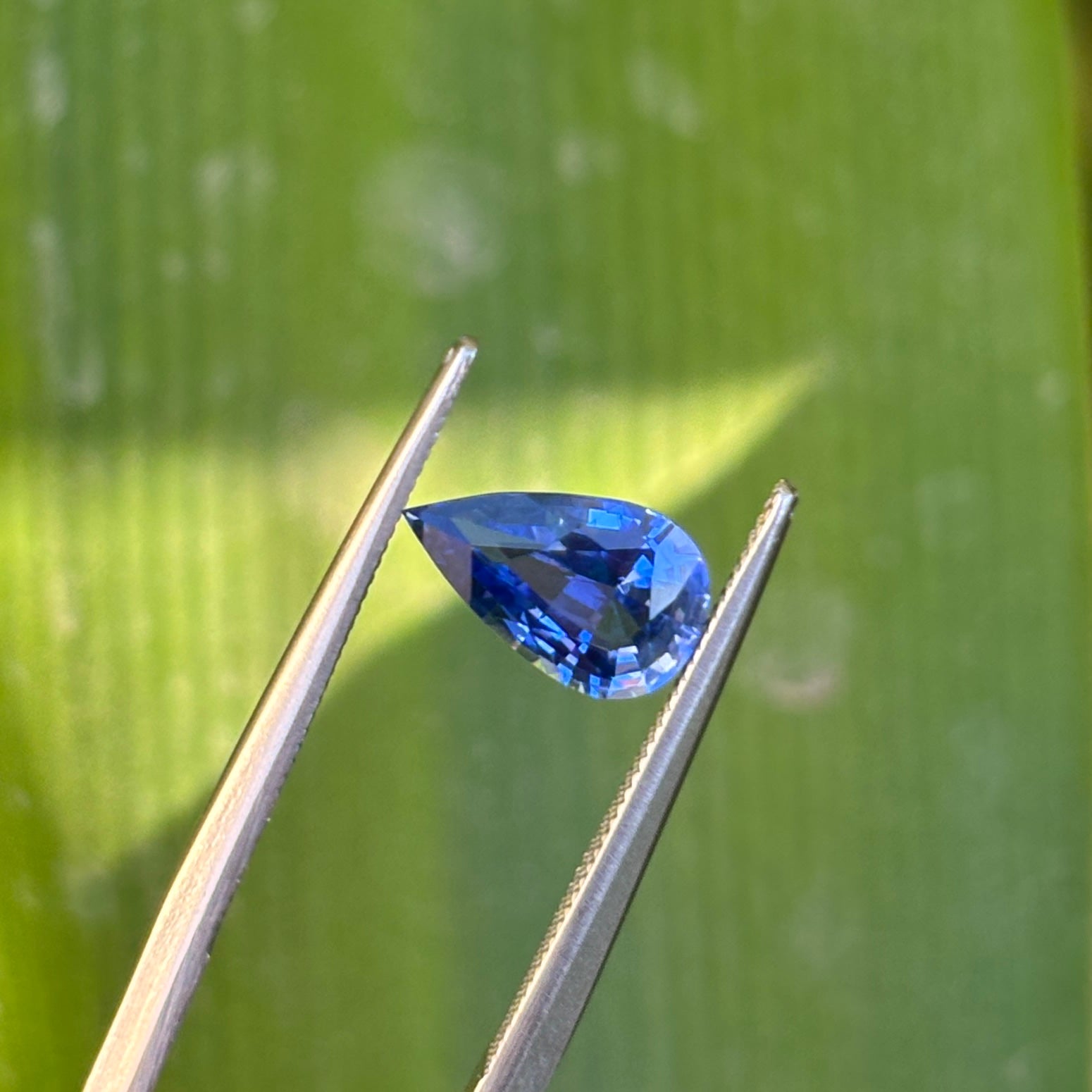 #1-19 Pear Sapphire 1.30ct