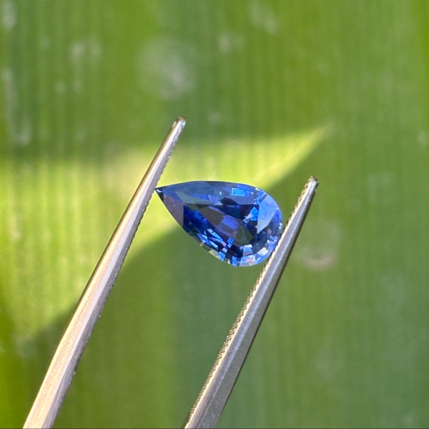 #1-19 Pear Sapphire 1.30ct - ON HOLD