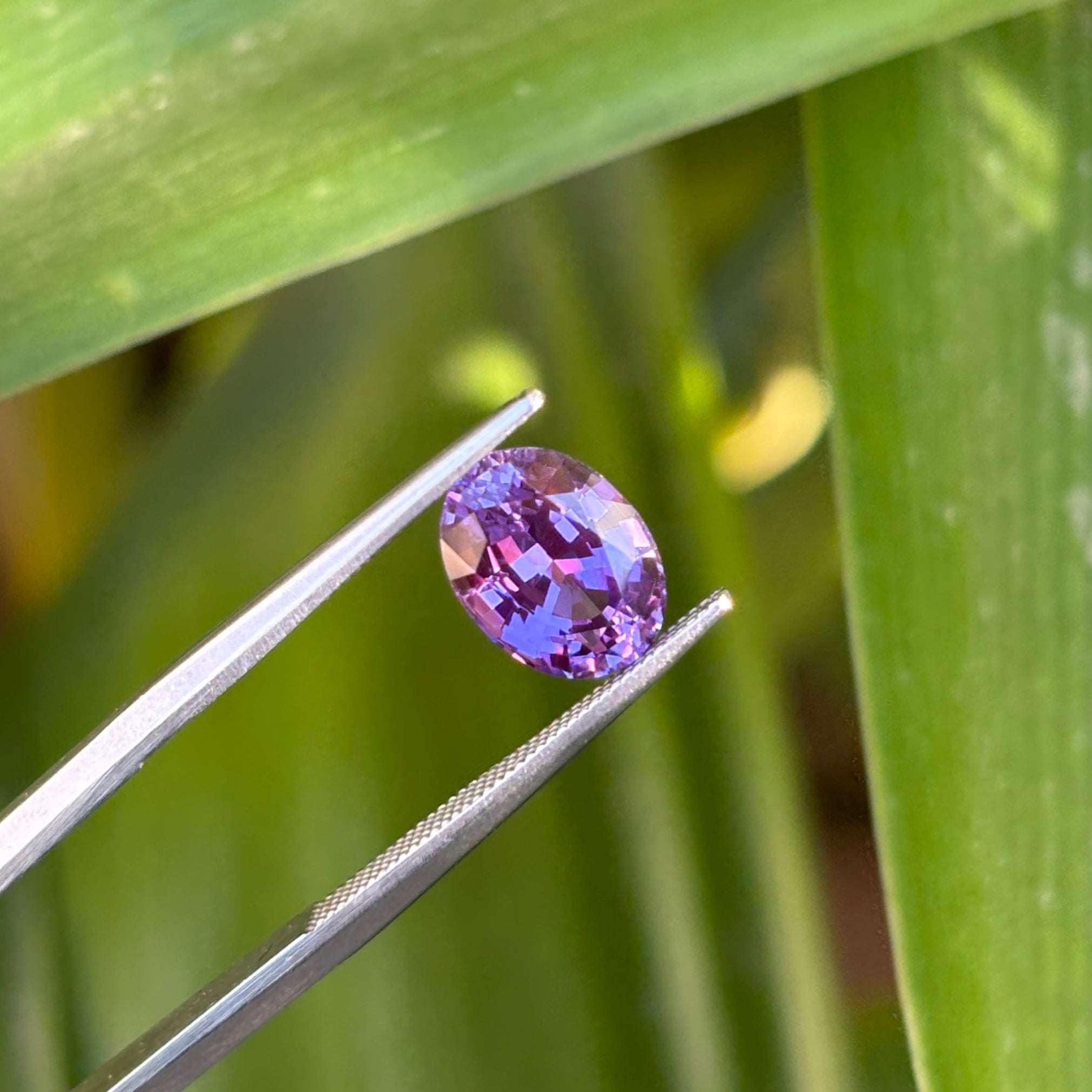 #1-12 Oval Sapphire 2.31ct