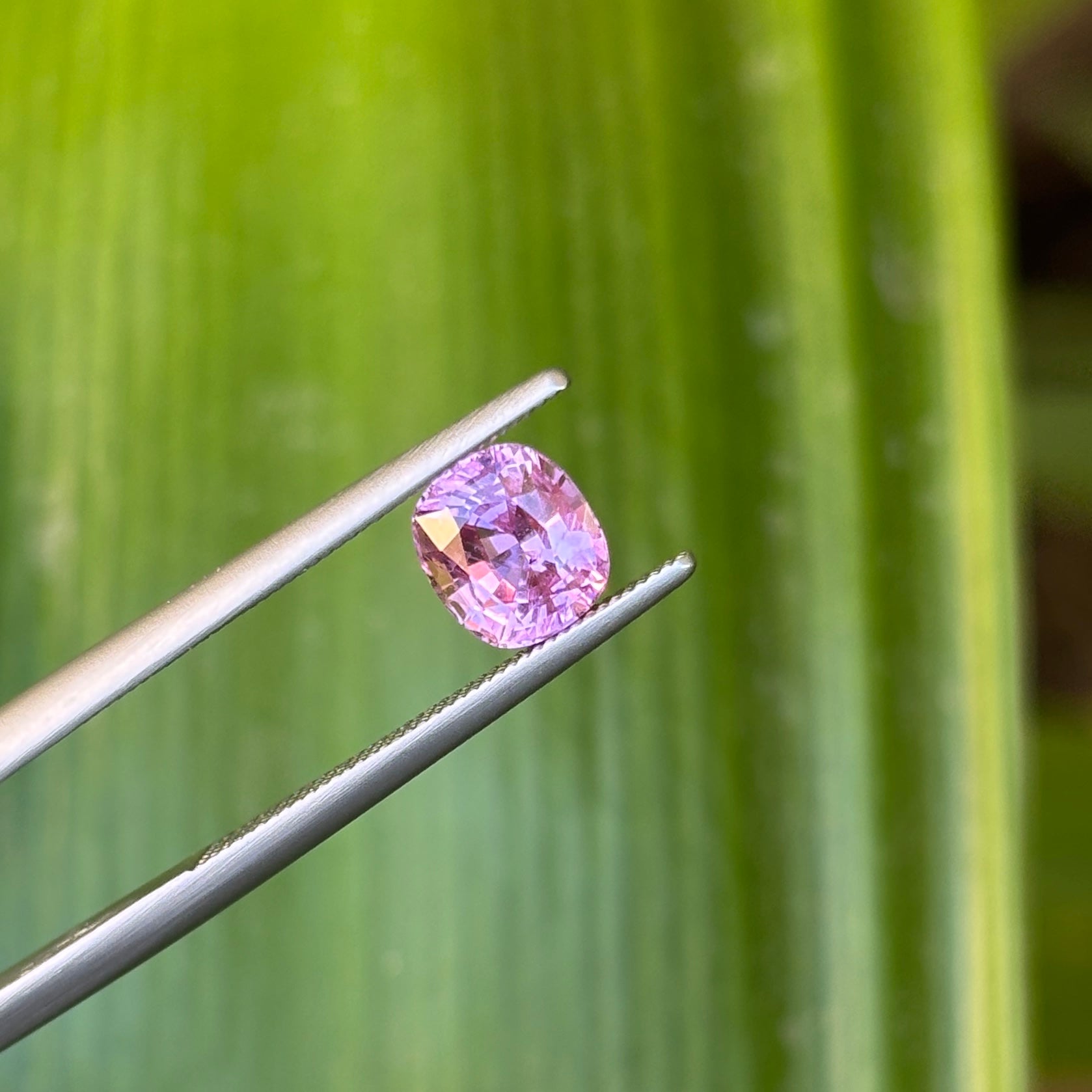 #1-20 Cushion Sapphire 1.31ct