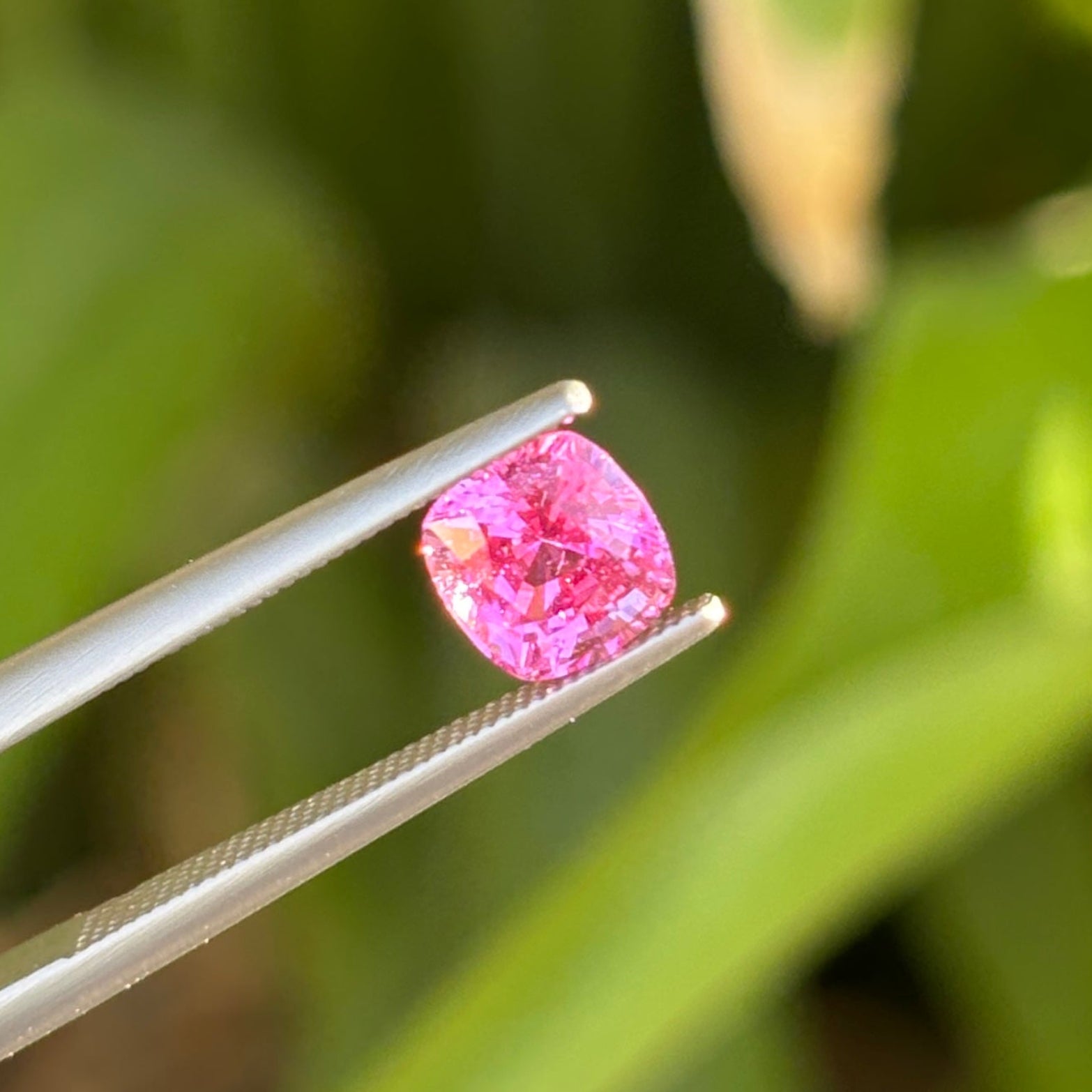 #1-34 Cushion Sapphire 1.37ct