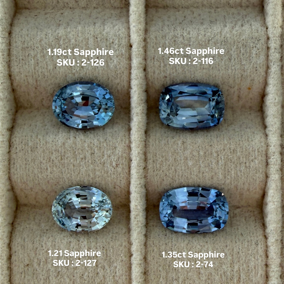 1.46ct  Sapphire