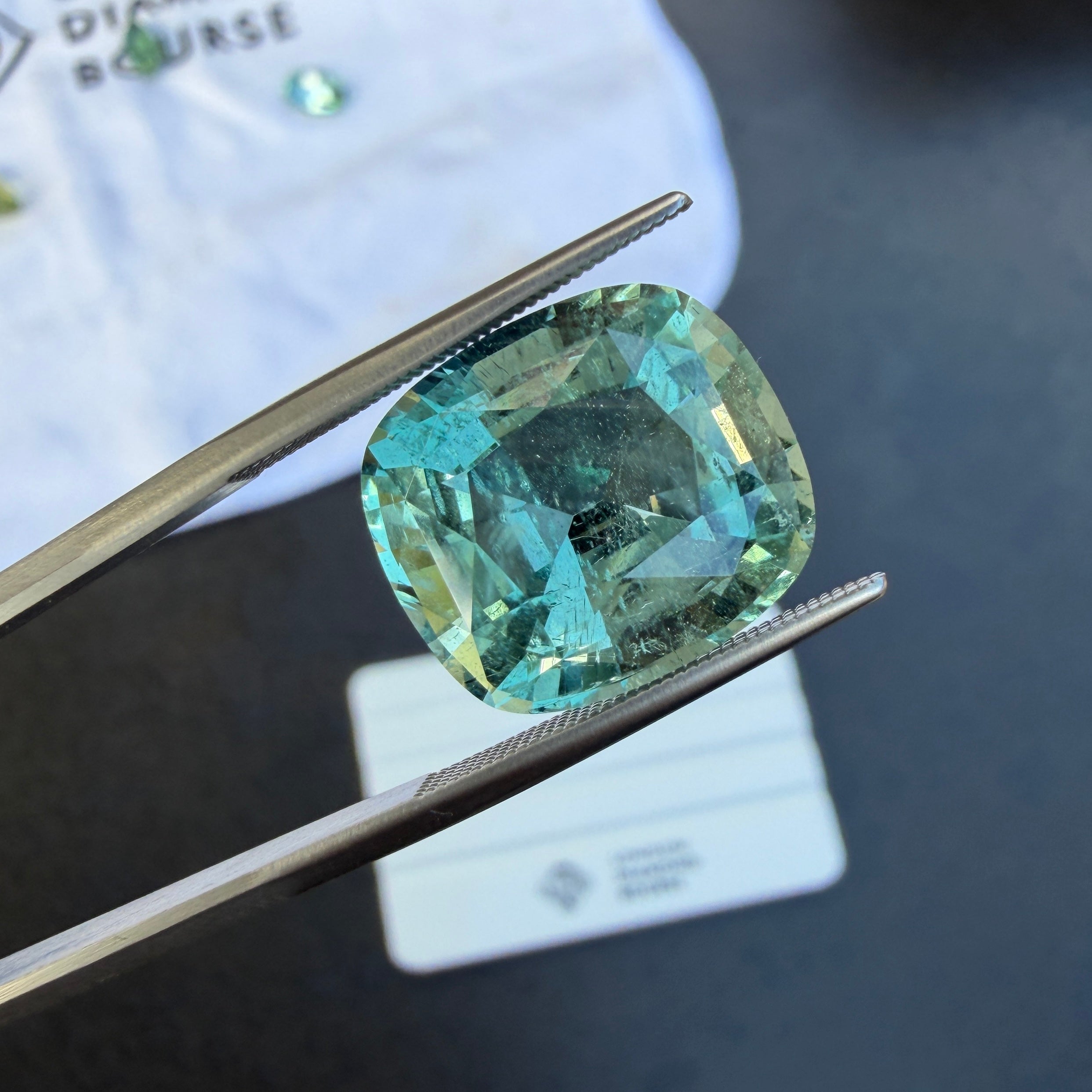 13.36ct Aquamarine