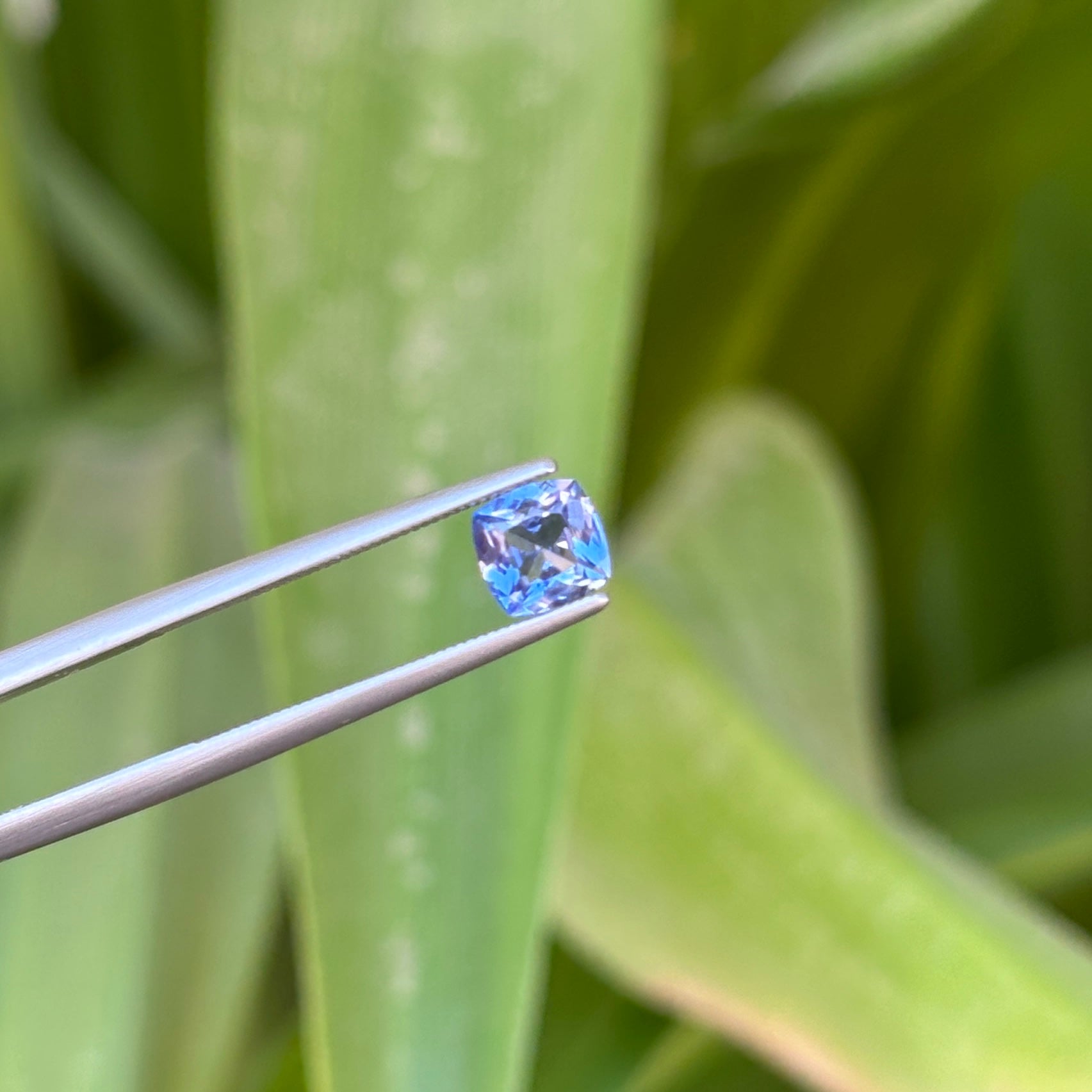 #1-49 Cushion Sapphire 0.95ct