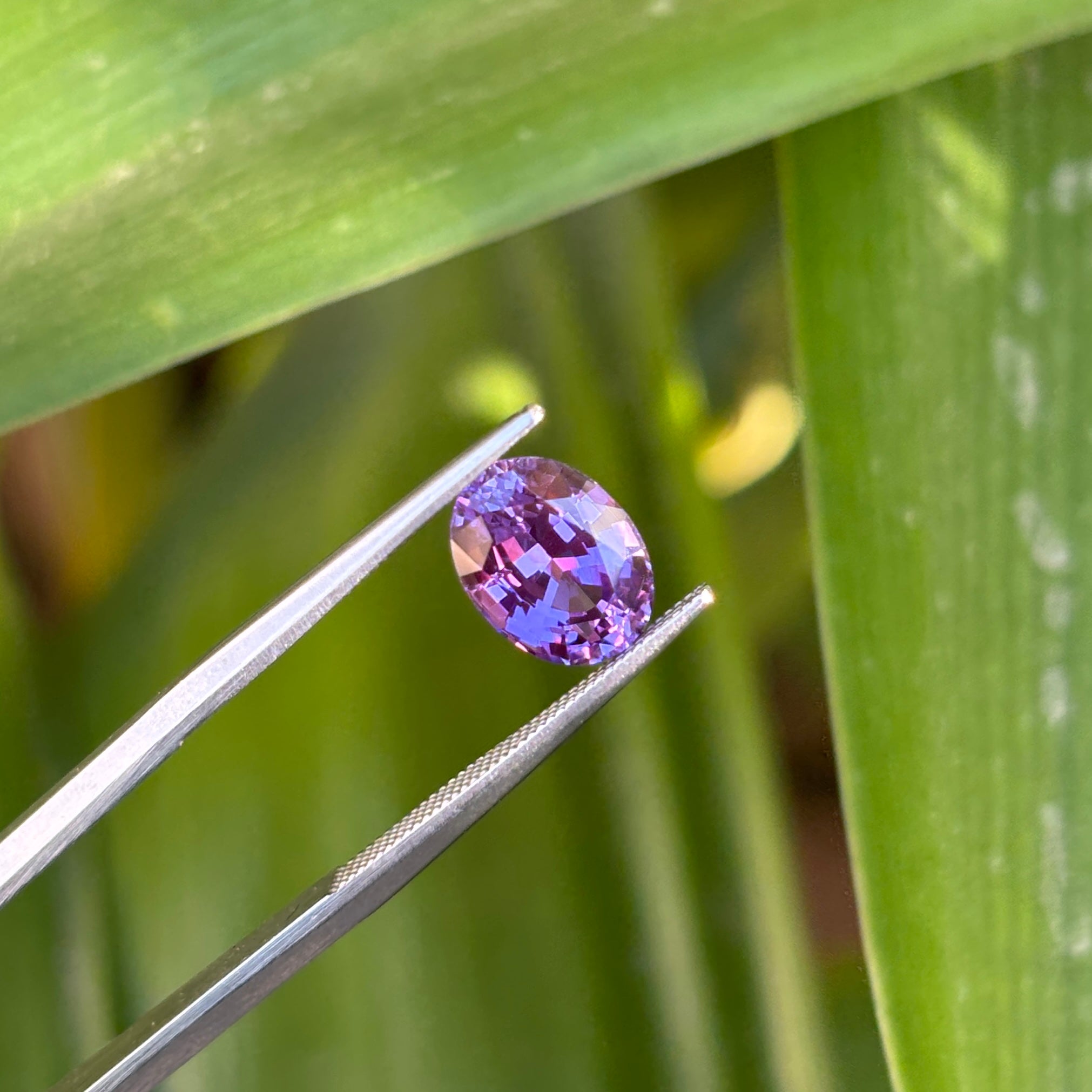 #1-12 Oval Sapphire 2.31ct